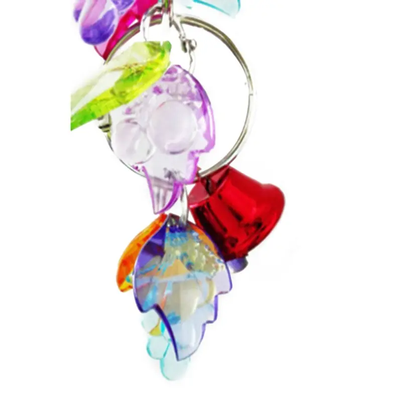 Zhihuan Acrylic Fruit Grape Bird Parrot Toy