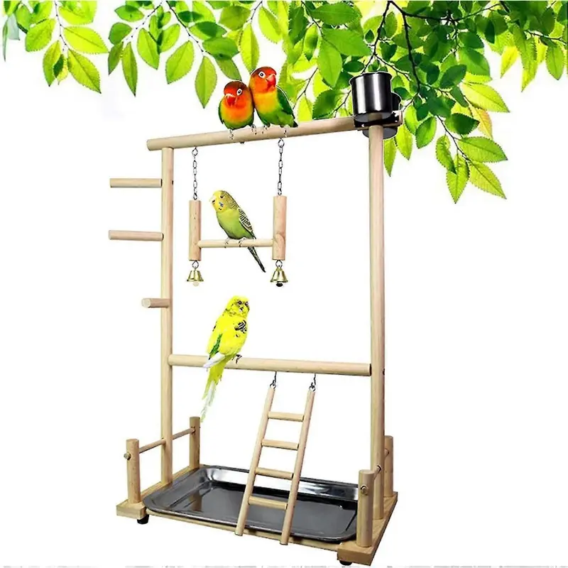 Bird Play D Gym, Parrots With Er St Swing-atoo