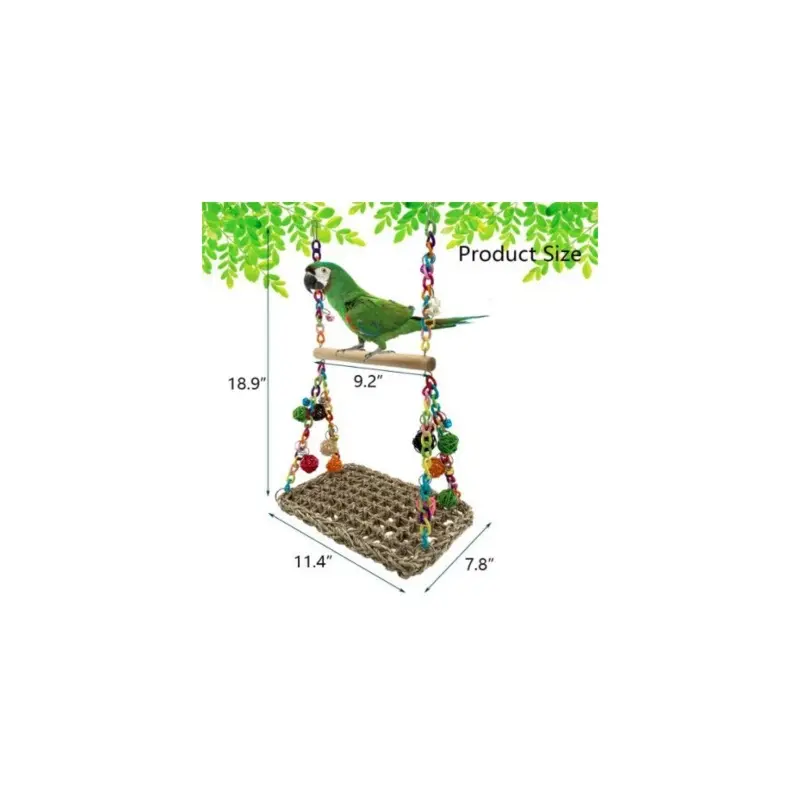 Durable Parrot Swing Toy For African Greys & Macaws Large