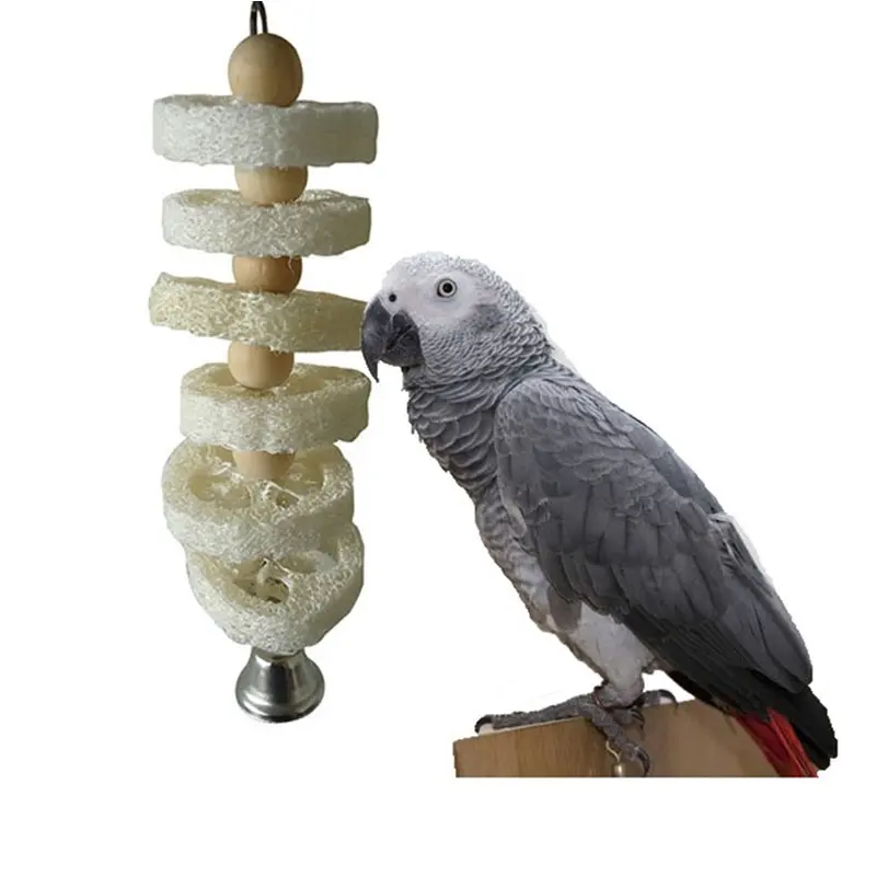 Keersi Primary Color Iqjw Parrot Toy, Acrylic