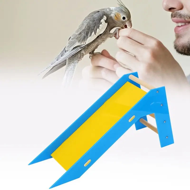 Parrot Climb Slide Ladders Puzzle Interactive Skill Training Toys NonToxic Supplies