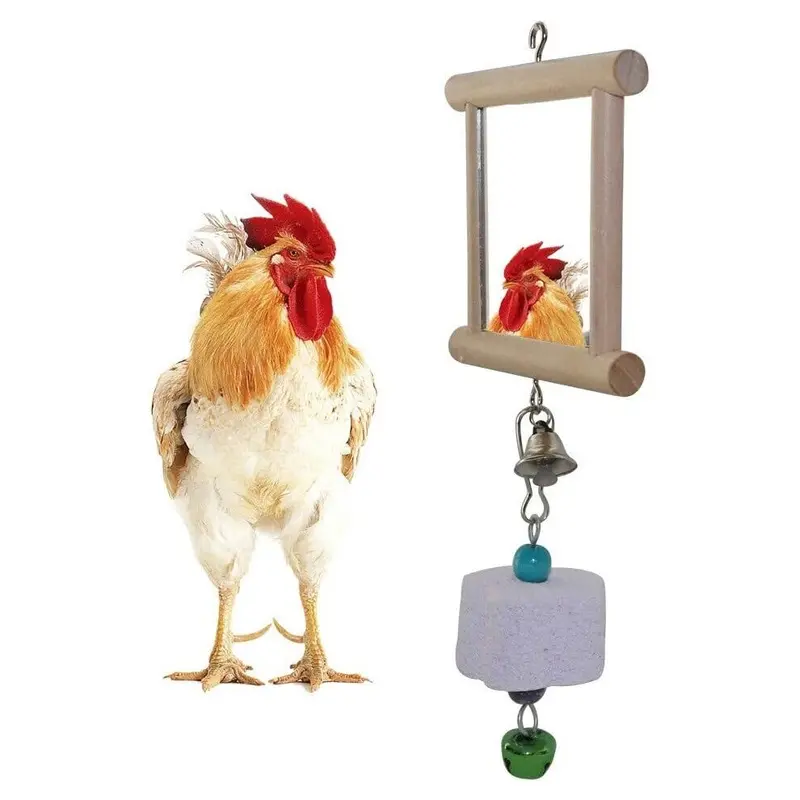 Xinyu Chicken Toys Swing Hanging Mirror With Bell And Molar