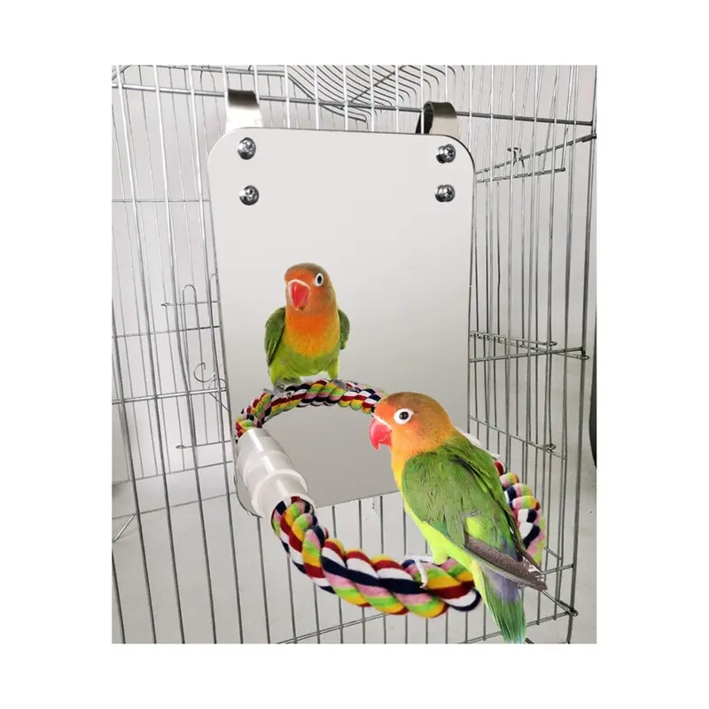 Zeuxo Parrot Swing Toy Interactive Bell Inch Size 7