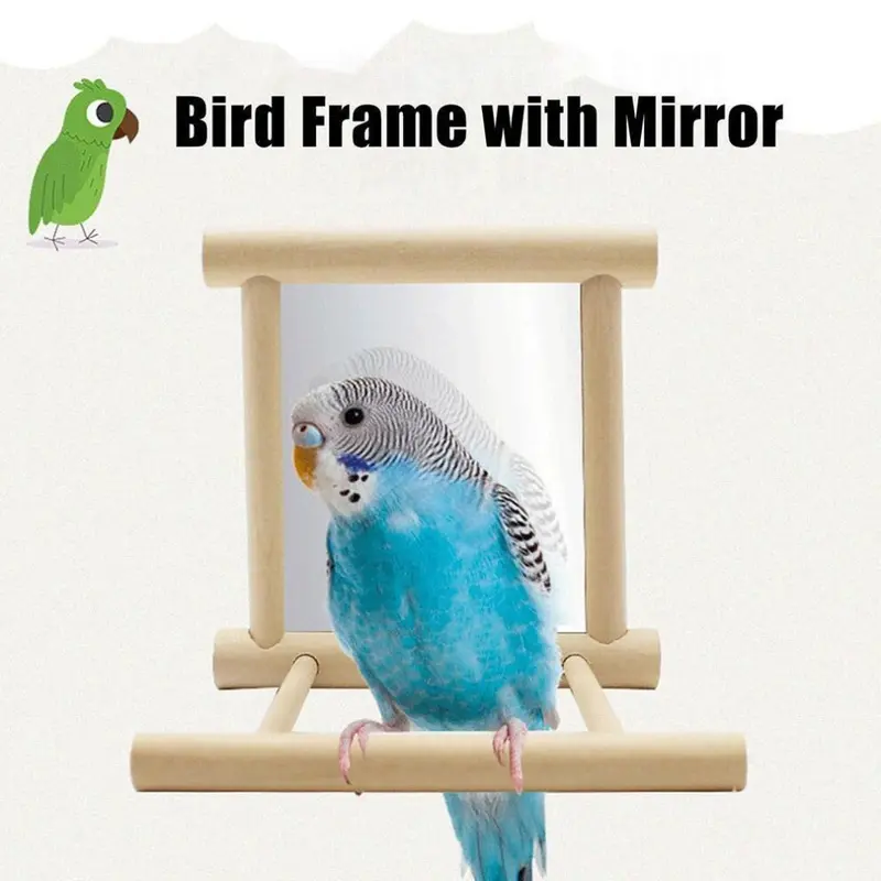 Zeuxo Bird Mirror Toy With Perch - Parrot Budgies Small