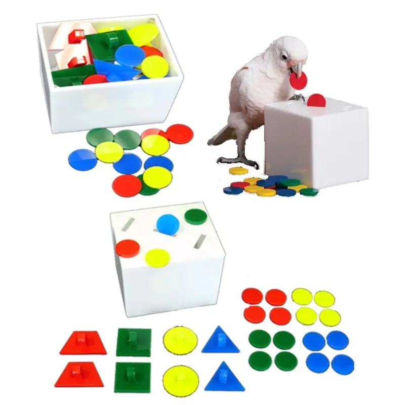 Zoo-Max Teach Box And Bank Bird Toys Large