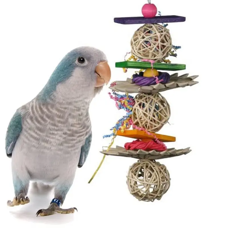 Super Bird Creations 12 By 5-Inch Crunch And Munch Bird Toy Medium