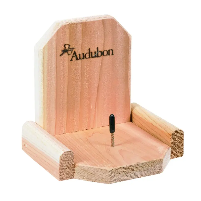 Squirrel Platform Feeder, 6 and 1/2 Inch Diameter, Durable Outdoor Bird Feeder