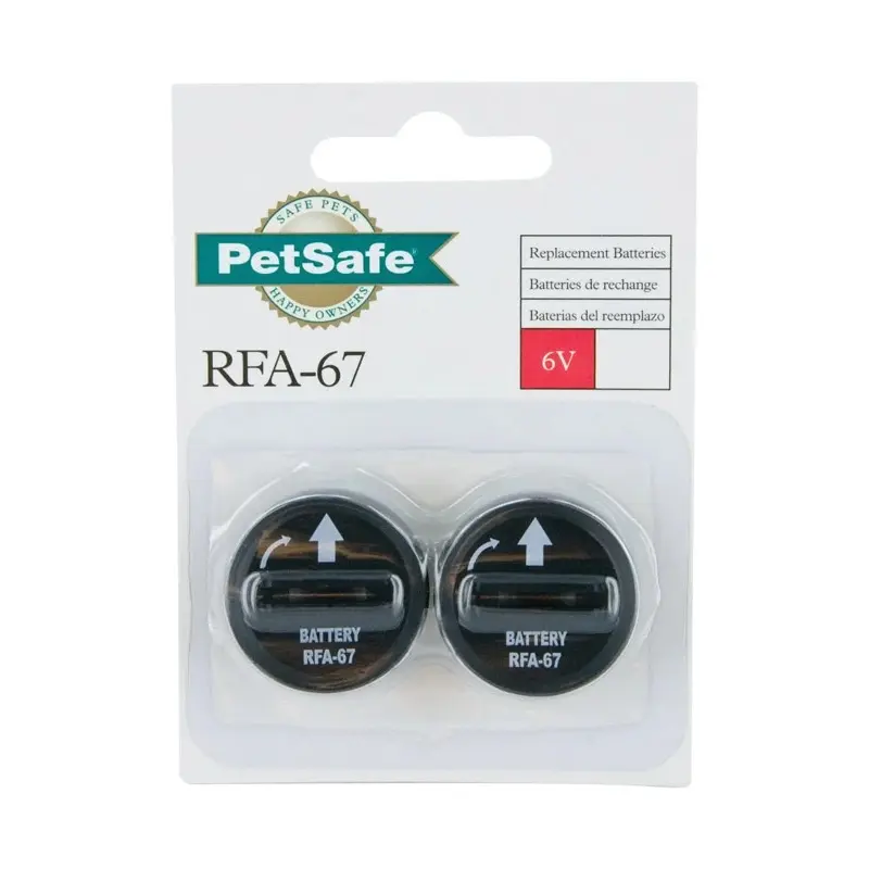 Lithium Batteries, 2-Pk., 6-Volt