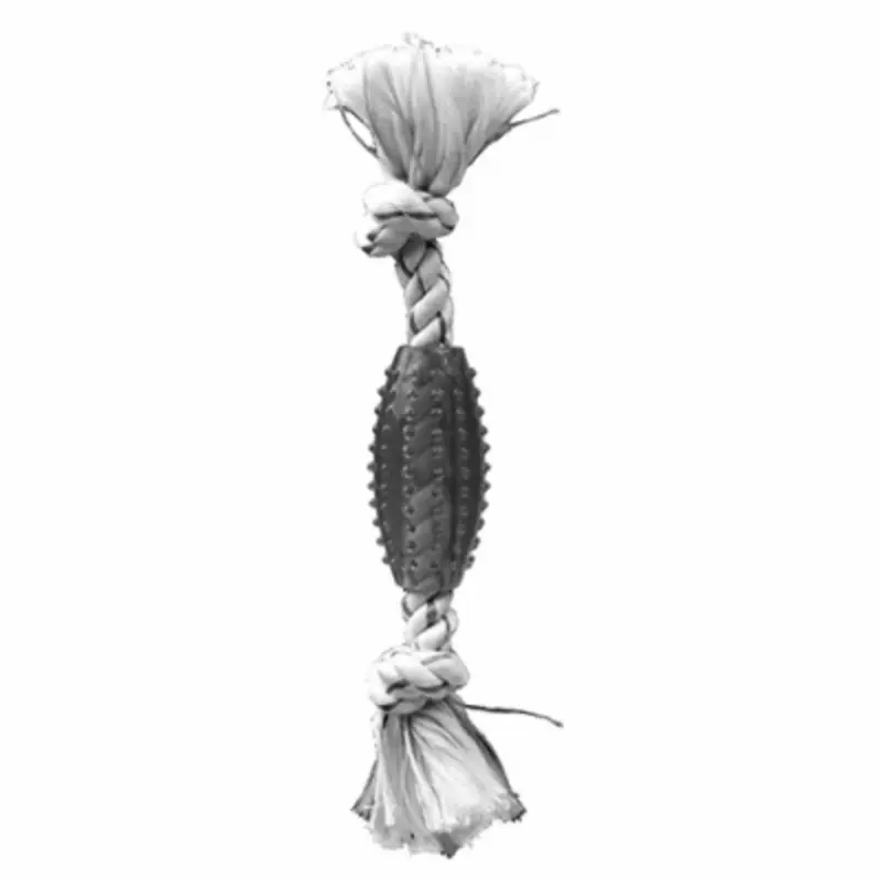 Bone Shaped Dental Dog Toy with Peppermint Flavor, 6 Inches Long