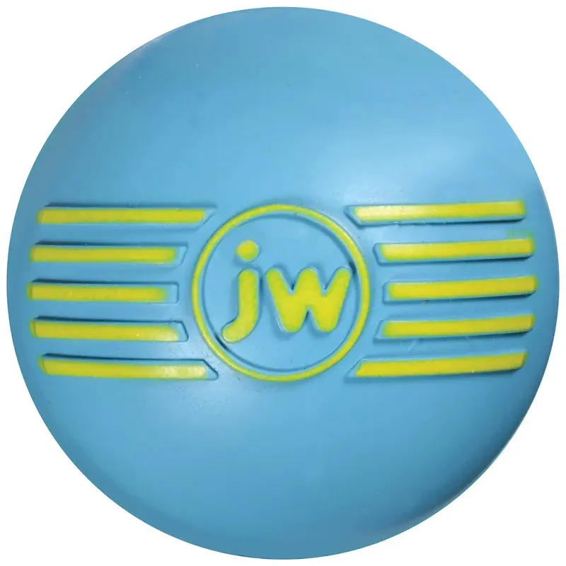 I-Squeak Bouncing Ball Dog Toy
