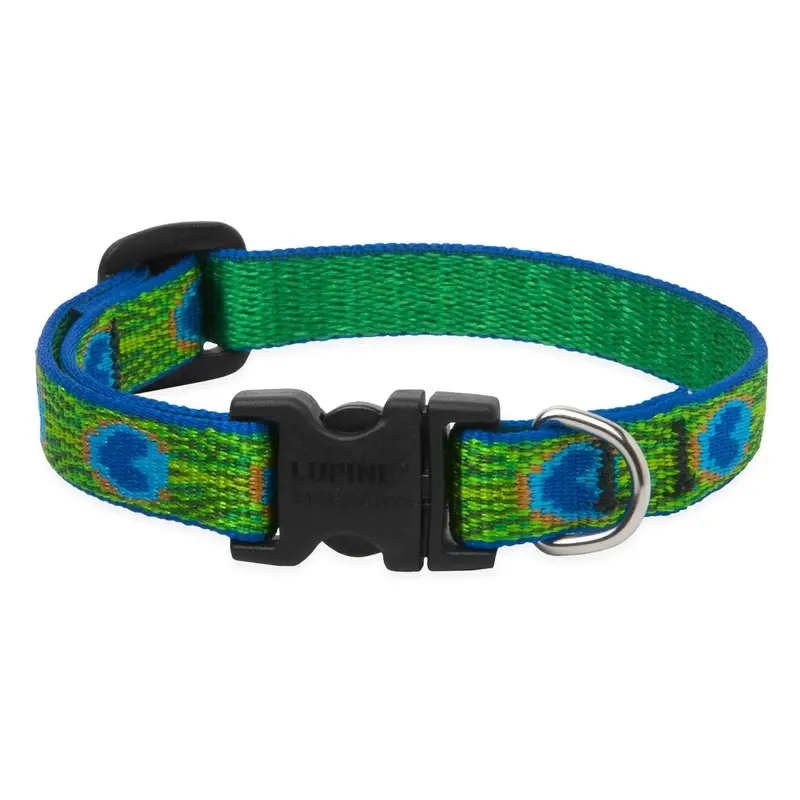 Adjustable Dog Collar with Tail Feather Design, 0.5 Inch by 8 to 12 Inches