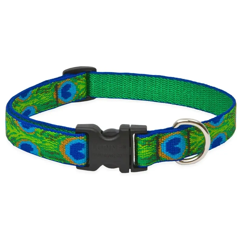 Adjustable Dog Collar with Tail Feather Design, 0.75 Inch by 13 to 22 Inches
