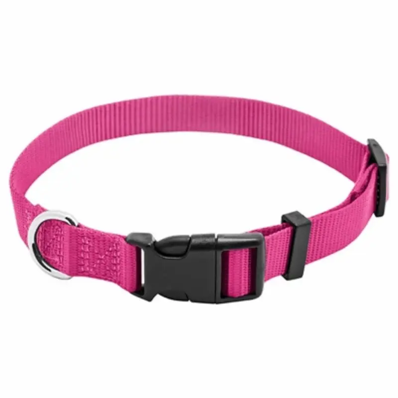 Pet Expert Adjustable Nylon Dog Collar in Pink, 3/8 Inch Width by 8 to 12 Inch Length