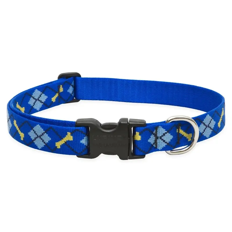 Adjustable Dog Collar by Dapper Dog, 1 Inch Width, Fits 16 to 28 Inch Neck