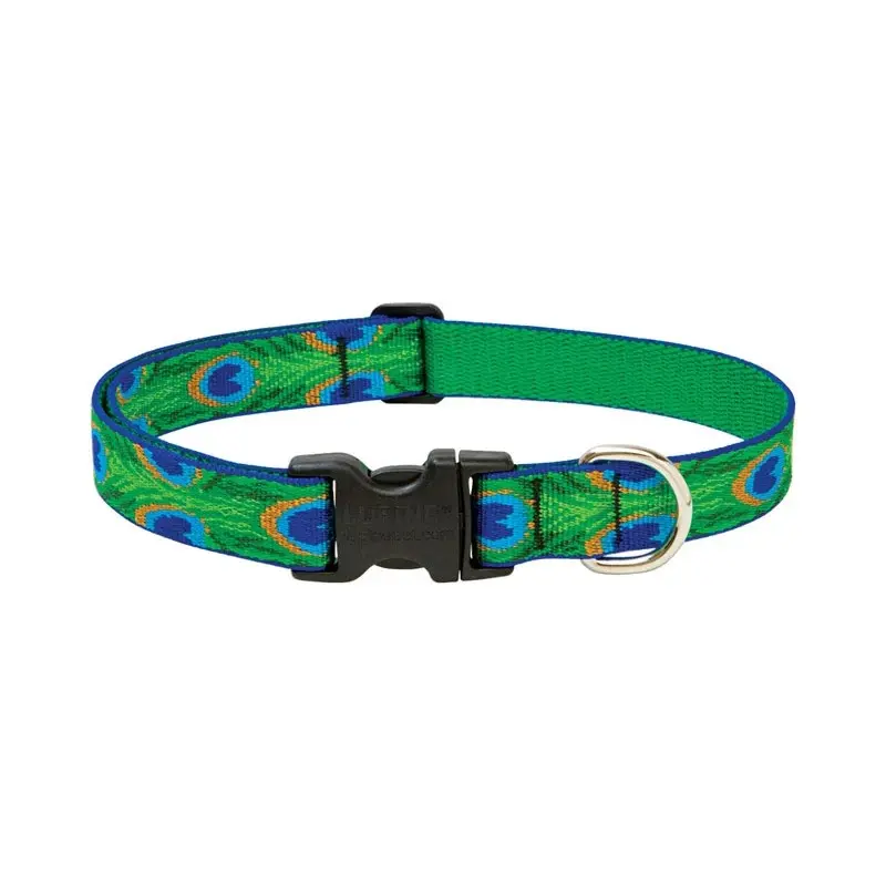 Adjustable Dog Collar with Tail Feather Design, 1 Inch by 12 to 20 Inches