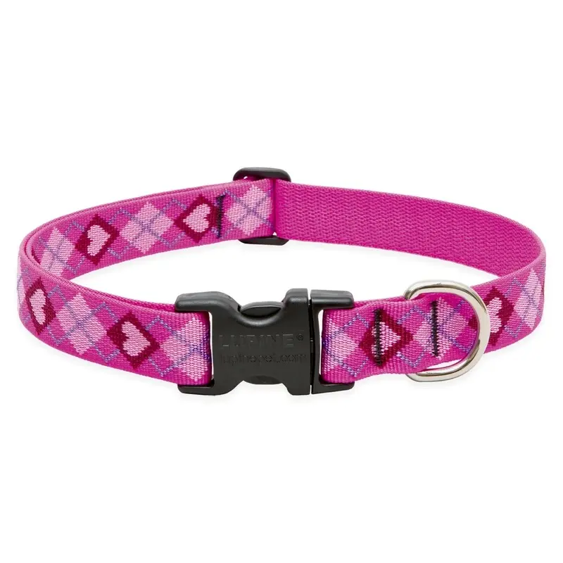 Adjustable Puppy Love Dog Collar, 1 Inch Wide, Fits 12 to 20 Inches Neck