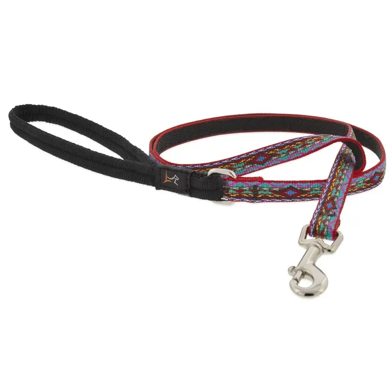 Dog Leash with El Paso Pattern for Puppies and Small Dogs, 6 Feet Long