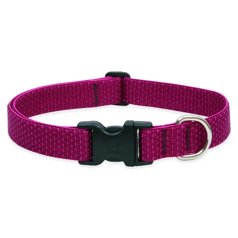 Eco Friendly Adjustable Dog Collar in Berry Color, 1 Inch by 16 to 28 Inches