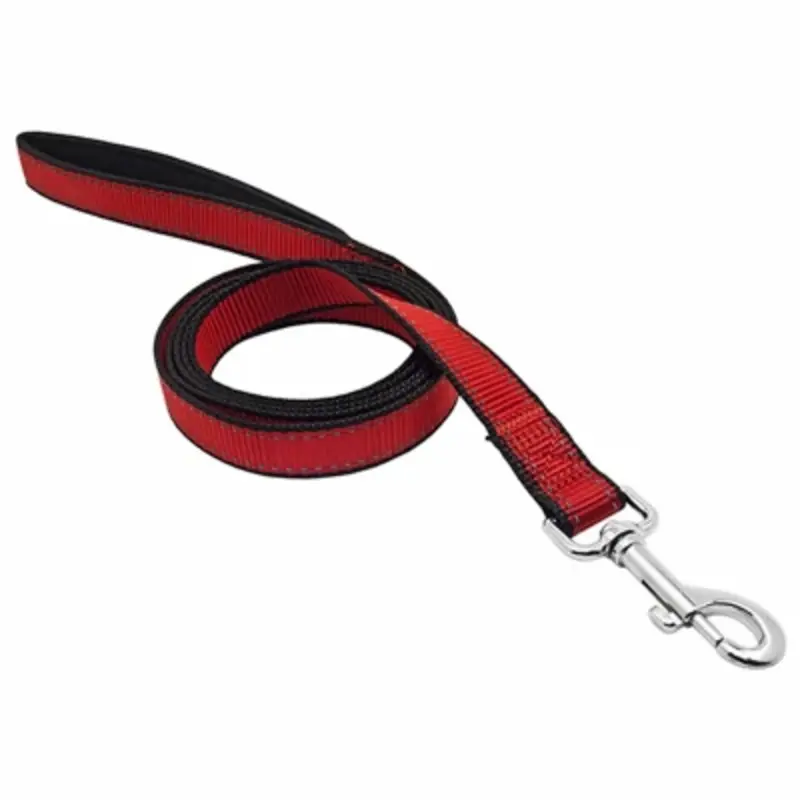 Pet Expert Nylon Reflective Dog Leash, Black and Red, 1 Inch by 6 Feet