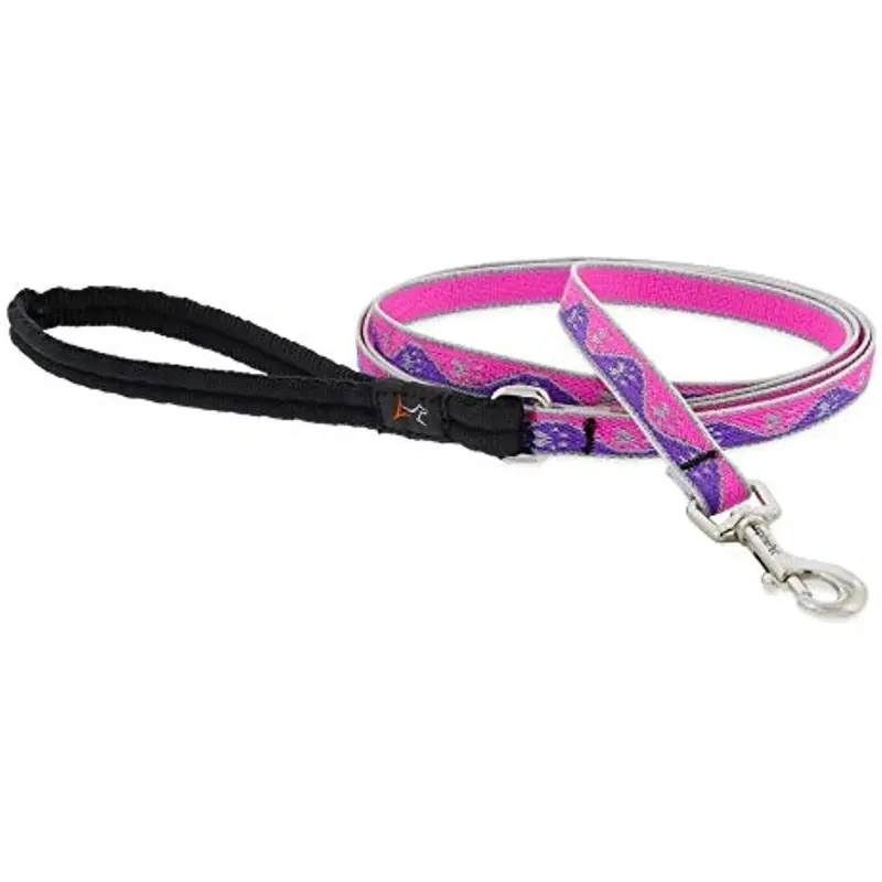 Reflective Dog Leash with Pink Paws Pattern, 0.5 Inch by 6 Feet