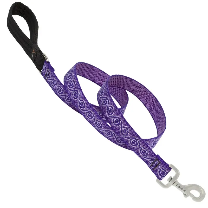 Dog Leash with Jelly Roll Pattern, 1 Inch Wide by 6 Feet Long