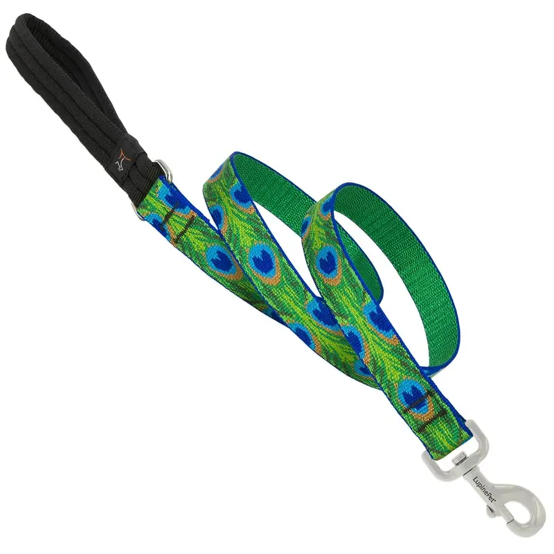 Dog Leash with Tail Feather Pattern, 1 Inch Wide by 6 Feet Long