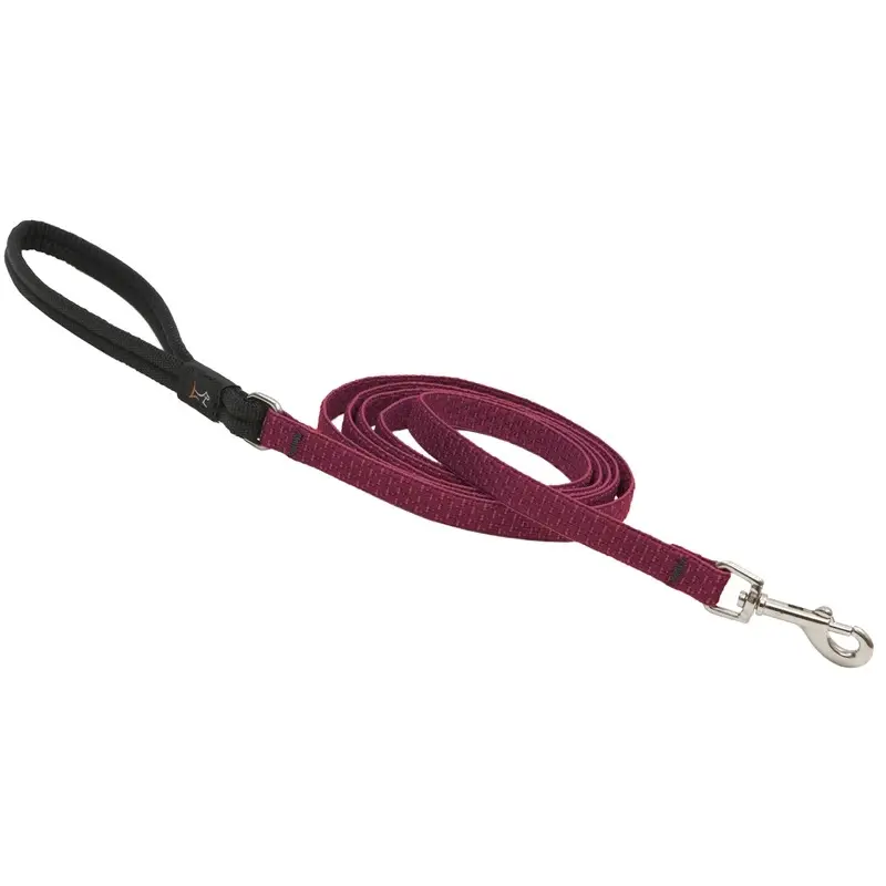 Eco-Friendly Dog Leash with Berry Pattern, One Half Inch by Six Feet