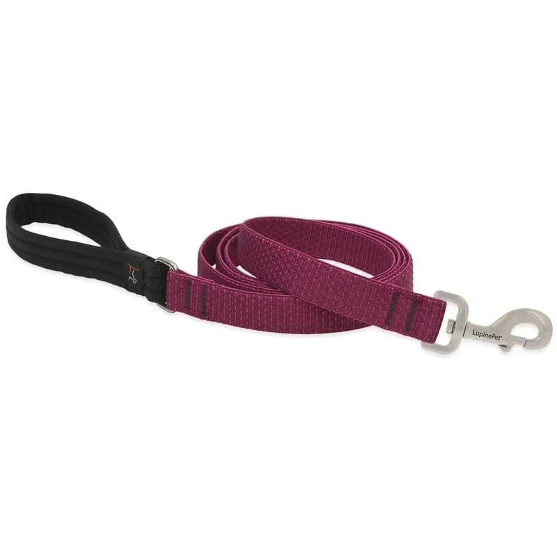 Eco Friendly Dog Leash 1 Inch by 6 Feet Durable and Comfortable