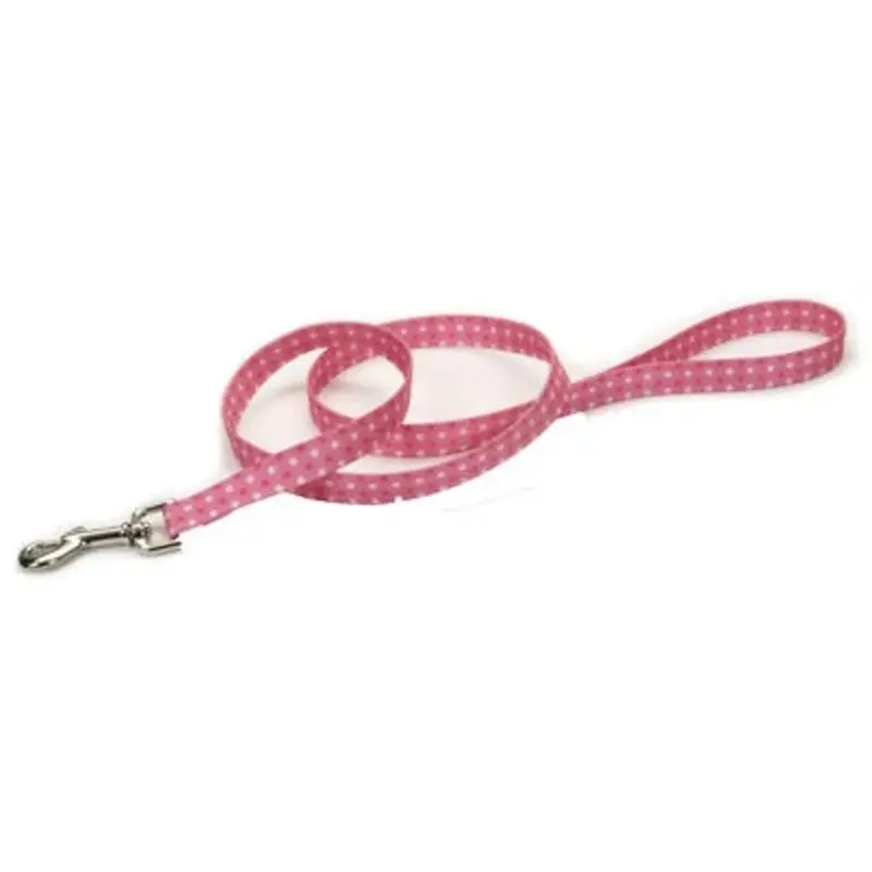 Pink Nylon Dog Leash with Dot Pattern, 1 Inch by 6 Feet