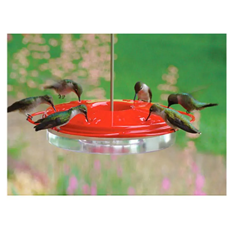 Classic 12 Ounce Hummingbird Feeder with Easy Fill and Clean Design