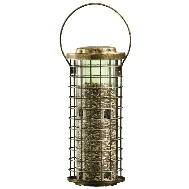 Durable Squirrel-Proof Wild Bird Feeder with 3 Pound Capacity