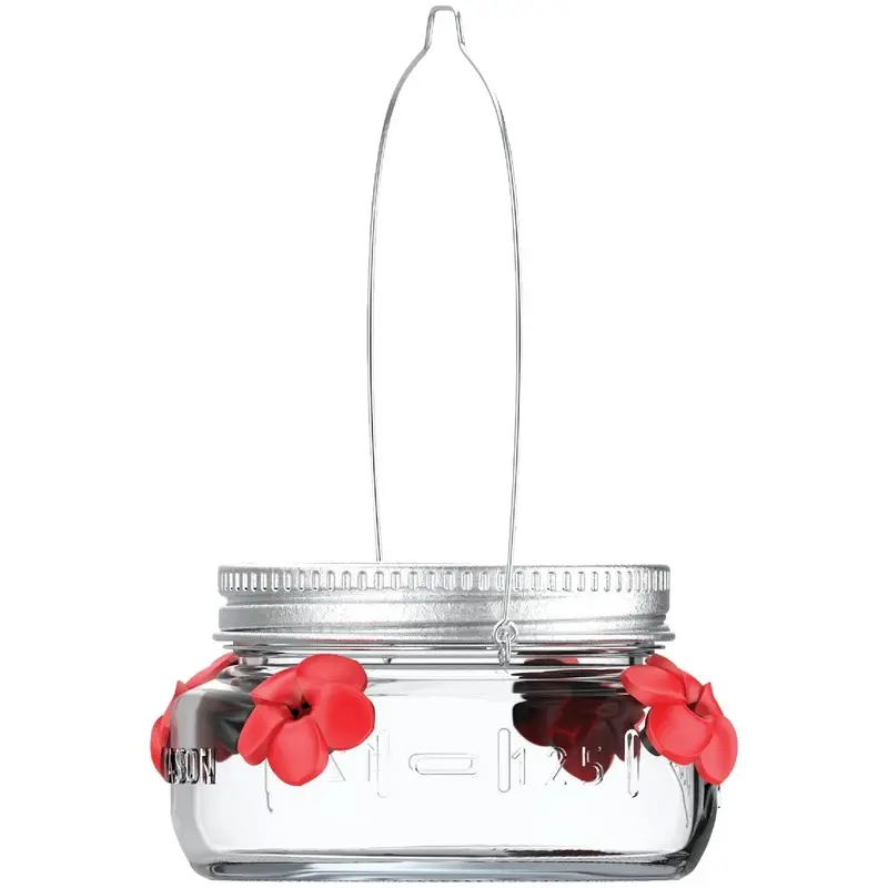 Mason Jar Hummingbird Feeder, Glass Dish, Lid & Hanger