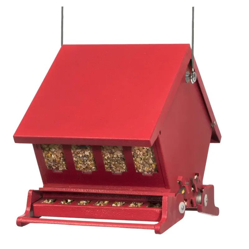 Absolute II Mini Squirrel-Proof Hopper Bird Feeder Holds 4 Pounds