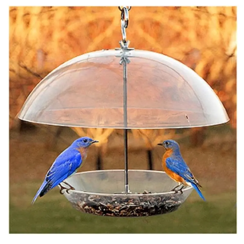 Dome Top Seed and Bluebird Feeder, 11 and Three Quarter Inches