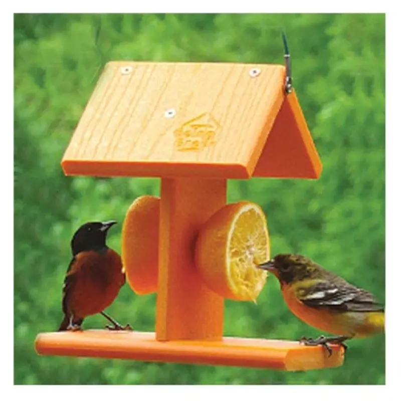 Going Green Oriole Bird Feeder with Eco-Friendly Materials and Durable Design