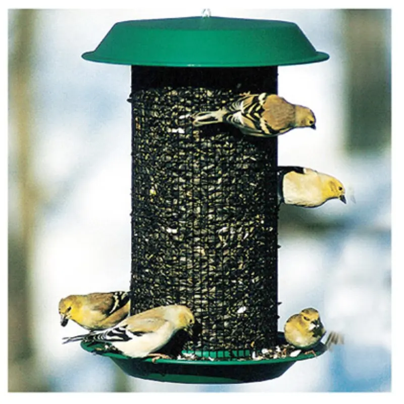 Oil Sunflower Magnum Bird Feeder, 3 Pounds Capacity