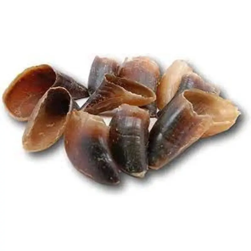 Beef Hooves Dog Treat Natural Chew for Dogs