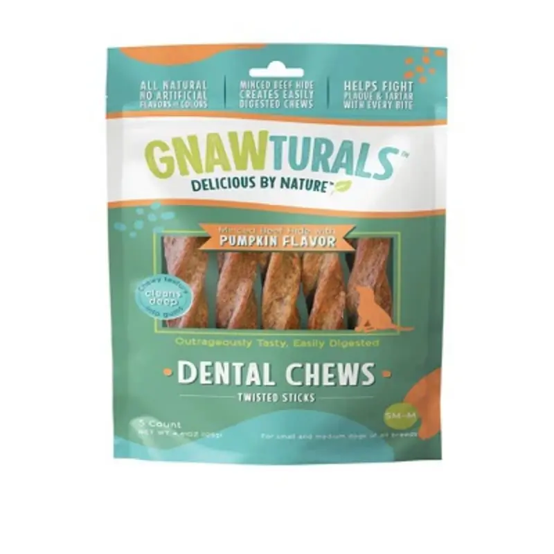 Dental Chews Dog Treat Pumpkin Flavor 5.5 Inch Stick