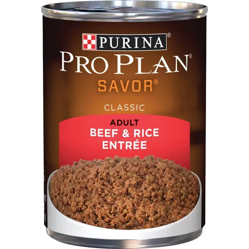 Dog Food with Beef and Rice Flavor, 13 Ounce Can